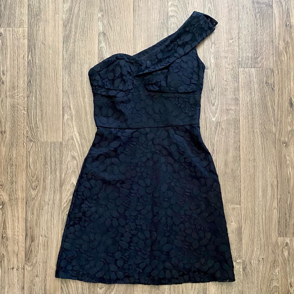 Seamline Cynthia Steffe Mini Dress 2